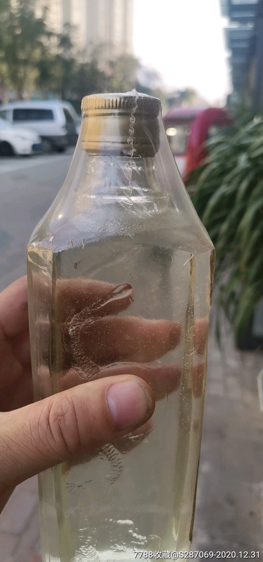 焦陂特曲_老酒收藏_第1张_7788茶具