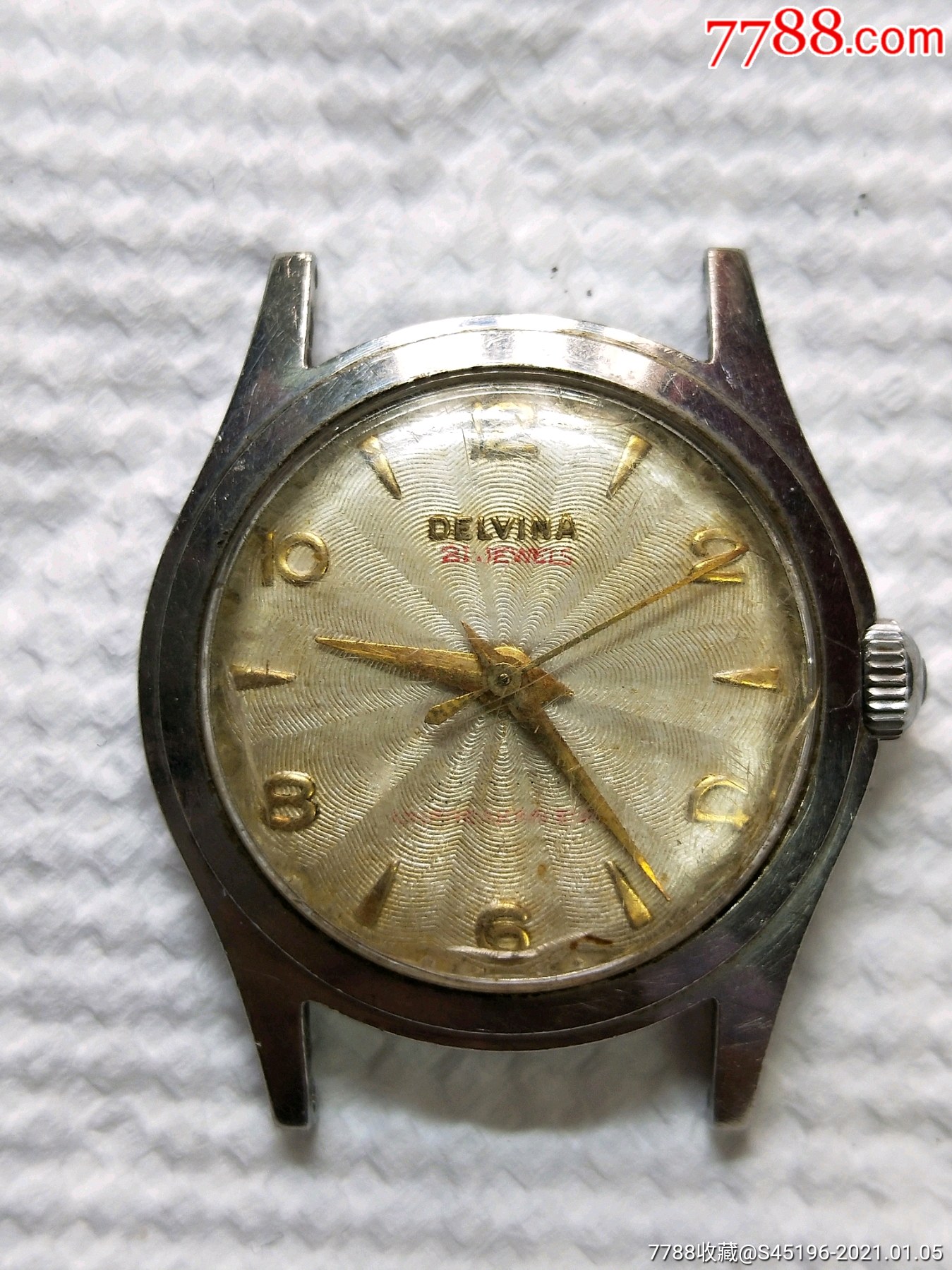 delvina手表图片及价格图片