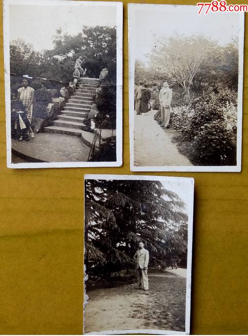 民国29年上海兆丰公园一组3张毛摄有背题