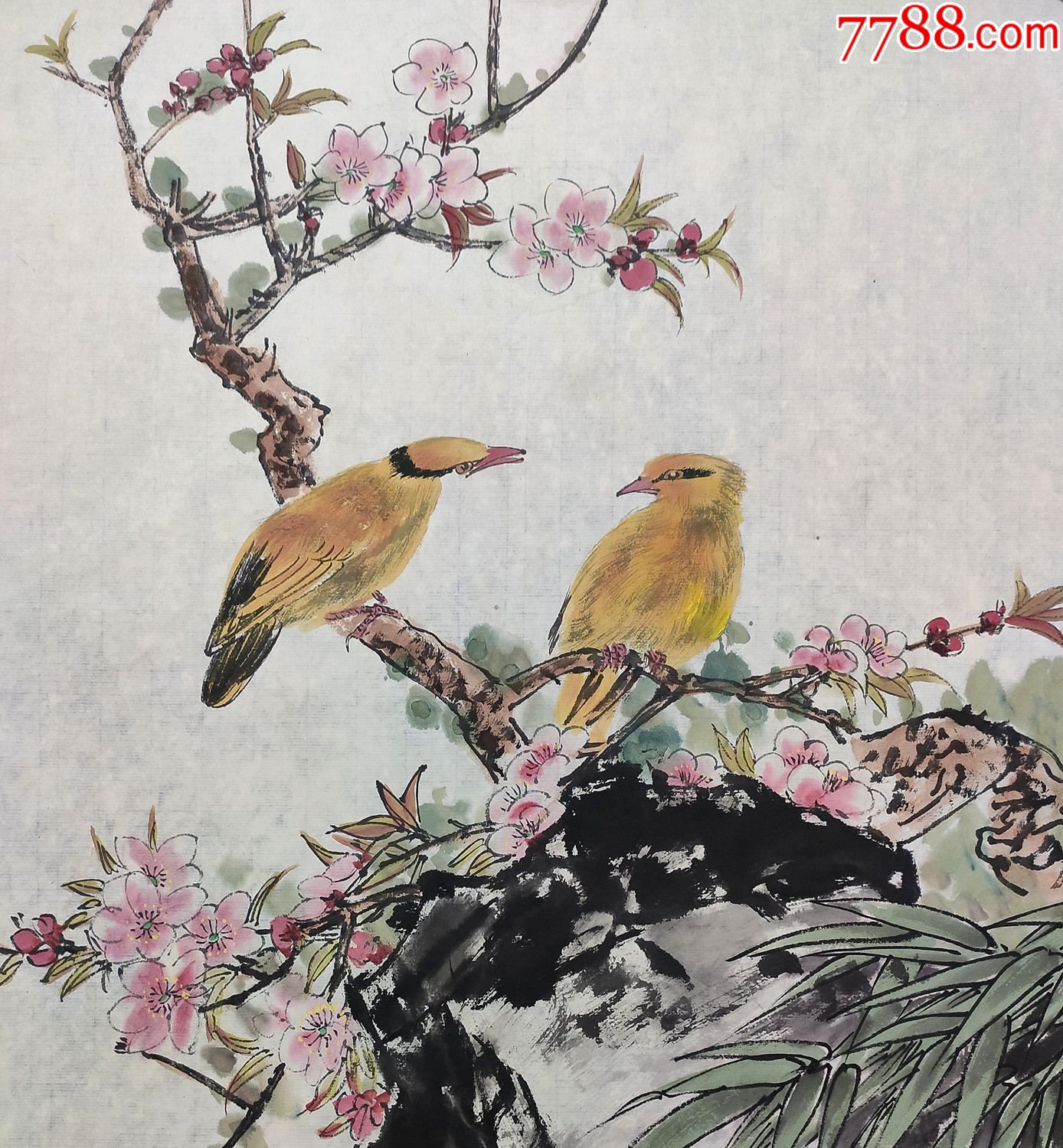 北京工笔重彩画副会长【田世光】小写意花鸟_花鸟国画原作_第2张_7788