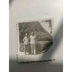 《革命伴侣》(au25685310)_7788收藏__收藏热线