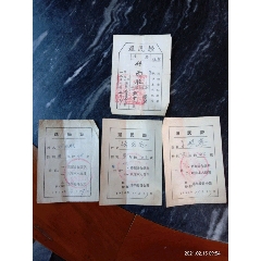 54.58年武纟乡县选民证4张合拍。(au25537888)_7788收藏__收藏热线