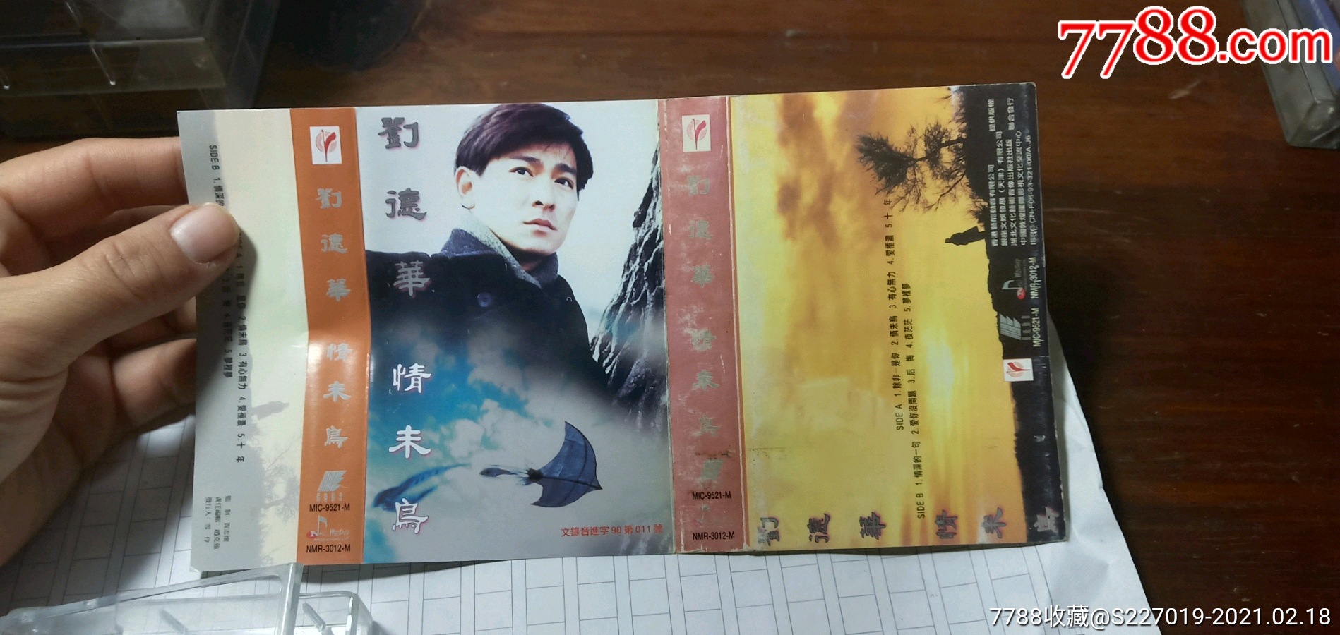 刘德华情未鸟