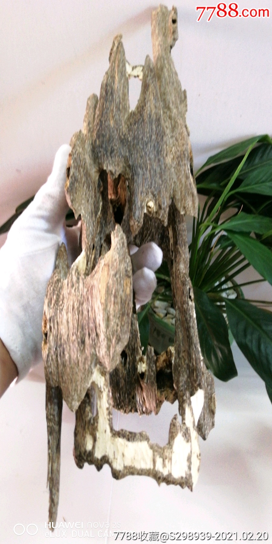 天然沉香黑油虫漏摆件