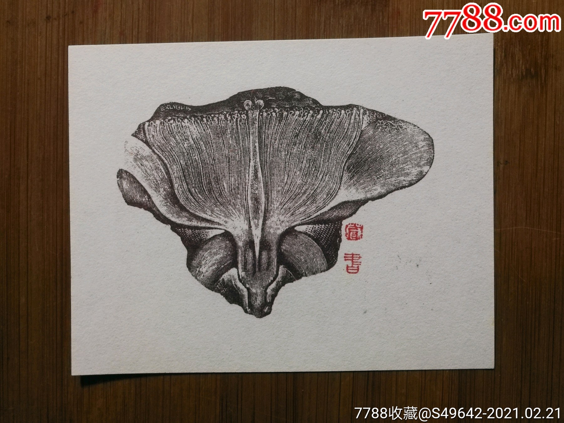 精美藏书票.更添图书香:方寸艺术《素描花卉》徐龙宝.作【尺寸11.