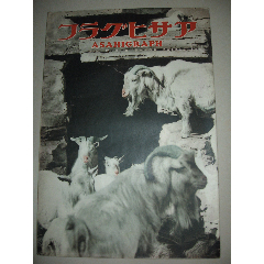 1936年2月19日《朝日画报》建国祭苏联两雄斯大林世界最大发电机(au25611528)_7788收藏__收藏热线