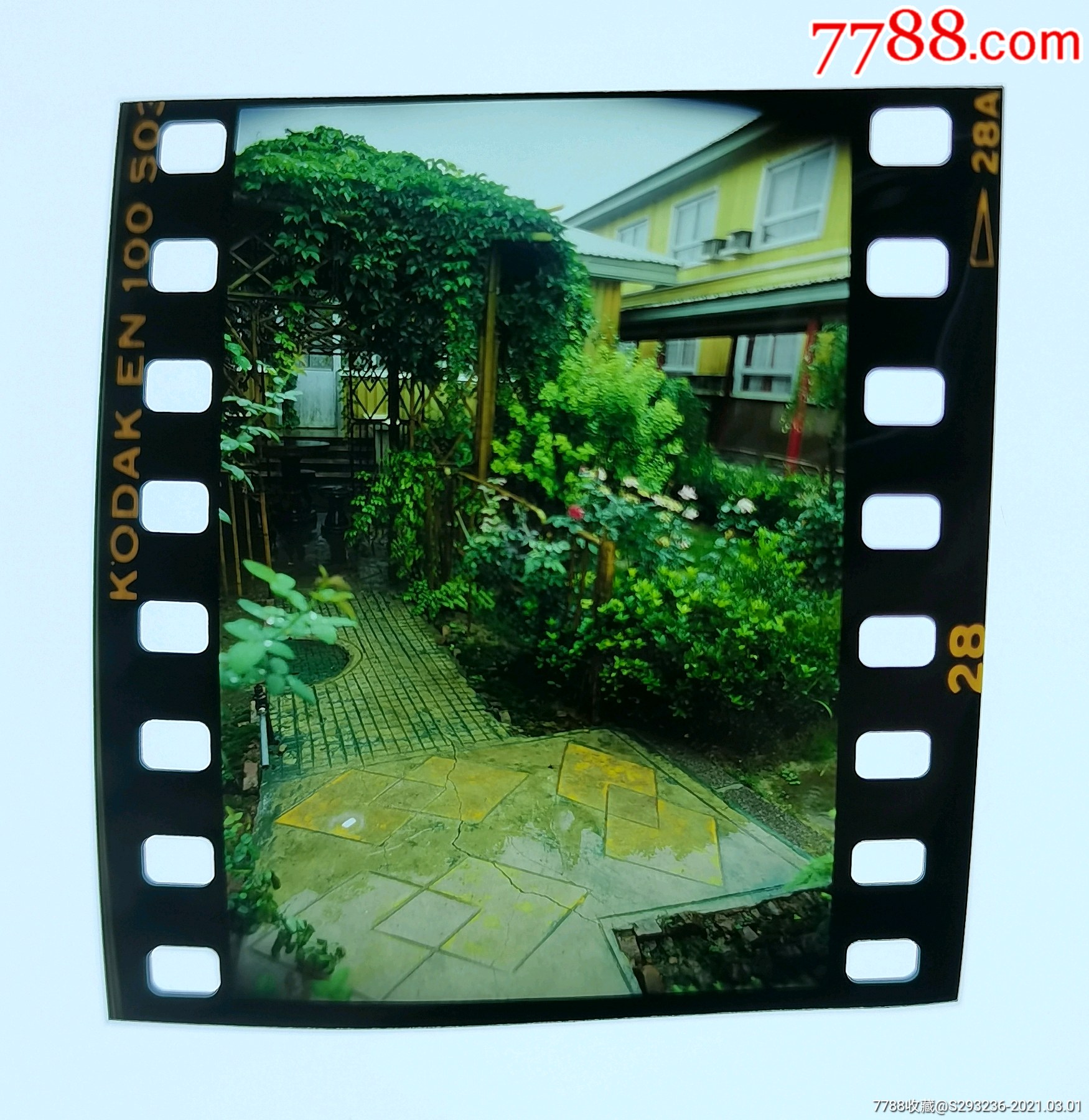 老底片,彩色反转片8张_老照片_第5张_7788音像