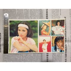 翁美玲贴纸-大张(au25666712)_7788收藏__收藏热线