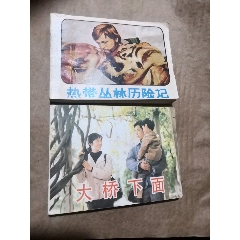 小人书两本合拍(zc25667814)_7788收藏__收藏热线