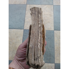 1.老的手写本,厚册（大量的医方,奇方,后有补图）(au25668518)_7788收藏__收藏热线