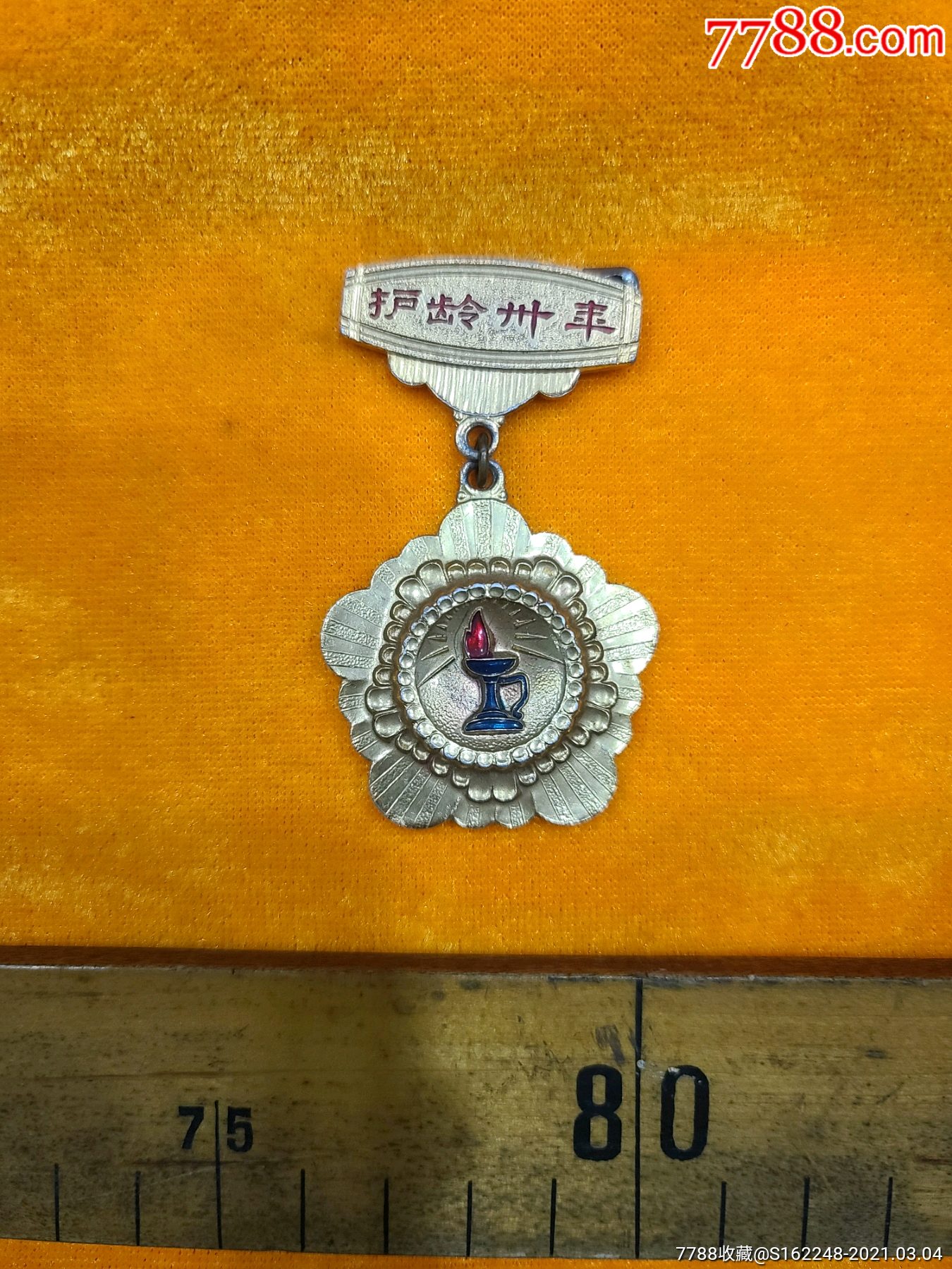 护士章-医疗/卫生徽章-7788二胡