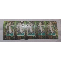 《鼎湖山》纪念张5枚。(au25679496)_7788收藏__收藏热线