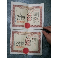 民国新新实业股份有限公司连号股票两张(au25682557)_7788收藏__收藏热线