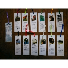 ●中国书标十年经典版：《中国珍稀动物》书香工程.中国书花【2007年12枚/套】(au25683361)_7788收藏__收藏热线