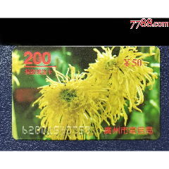 广州200菊花(au25684815)_7788收藏__收藏热线