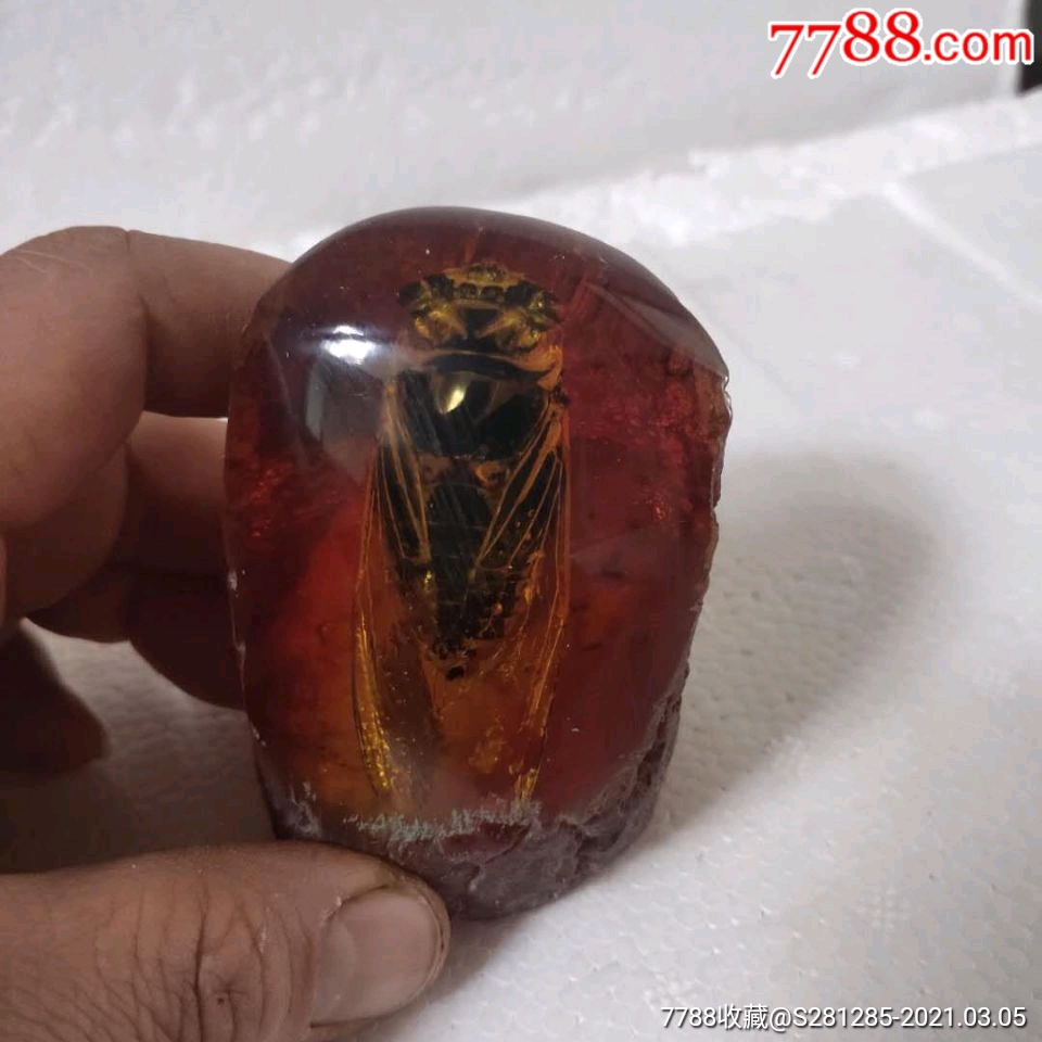 琥珀蜜蜡虫珀蝉鸣知了猴动物标本双十