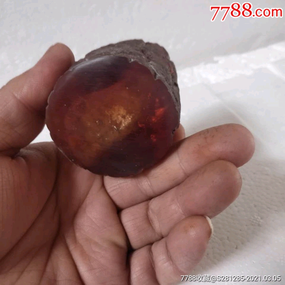 琥珀蜜蜡虫珀蝉鸣知了猴动物标本双十