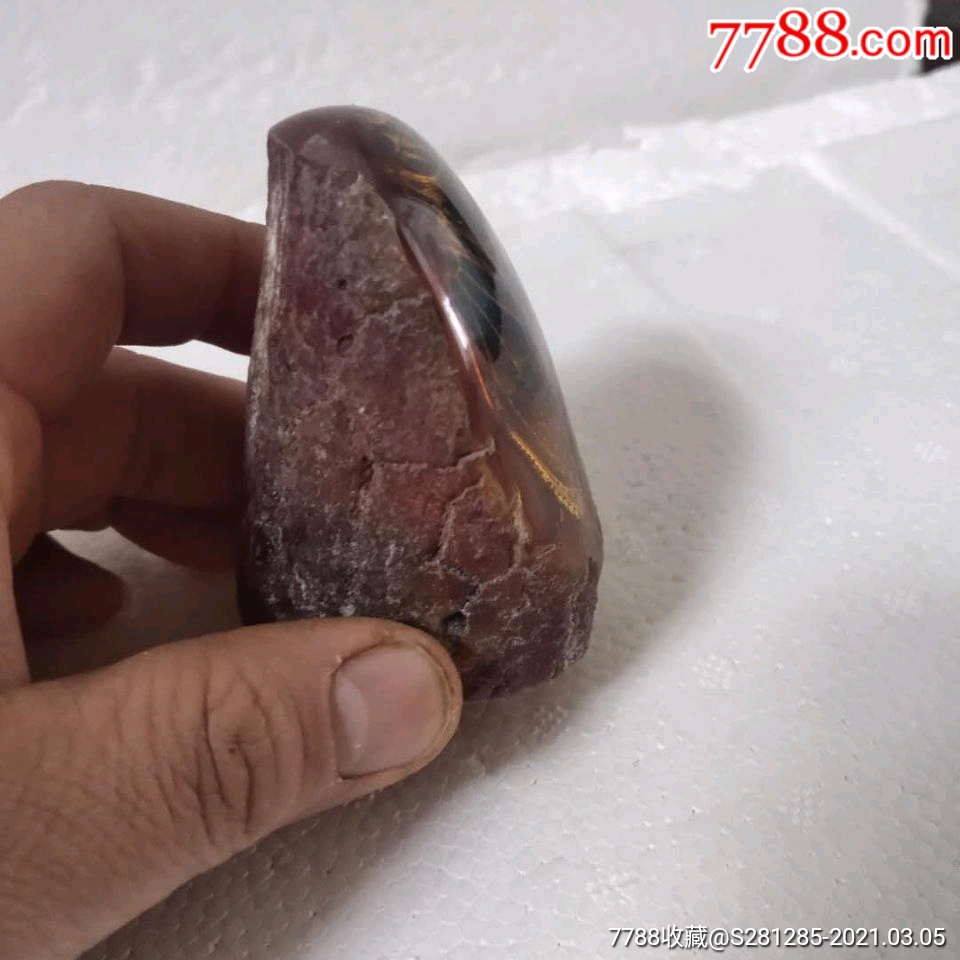 琥珀蜜蜡虫珀蝉鸣知了猴动物标本双十