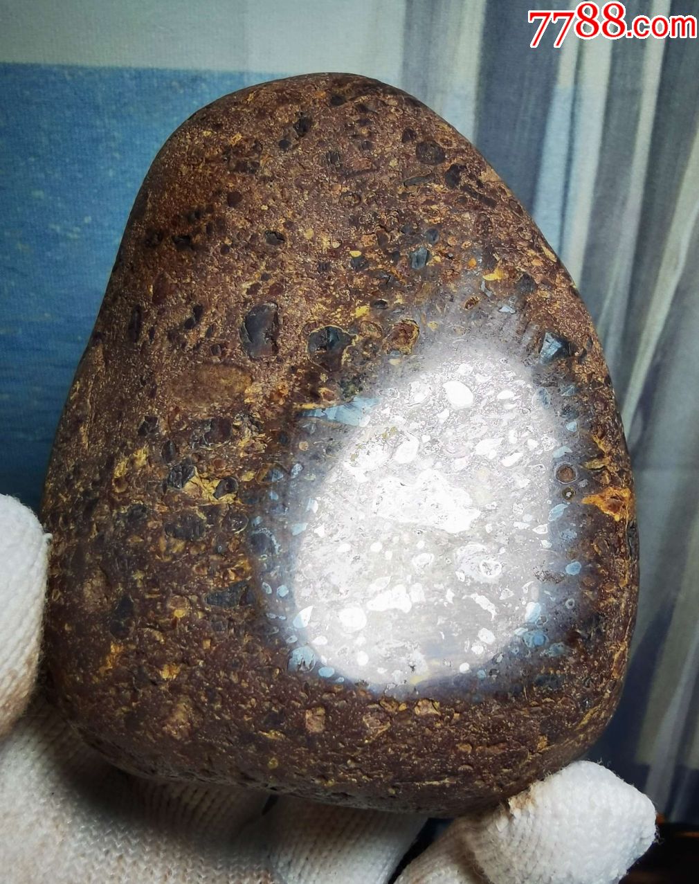 4836球粒或角砾陨石965克