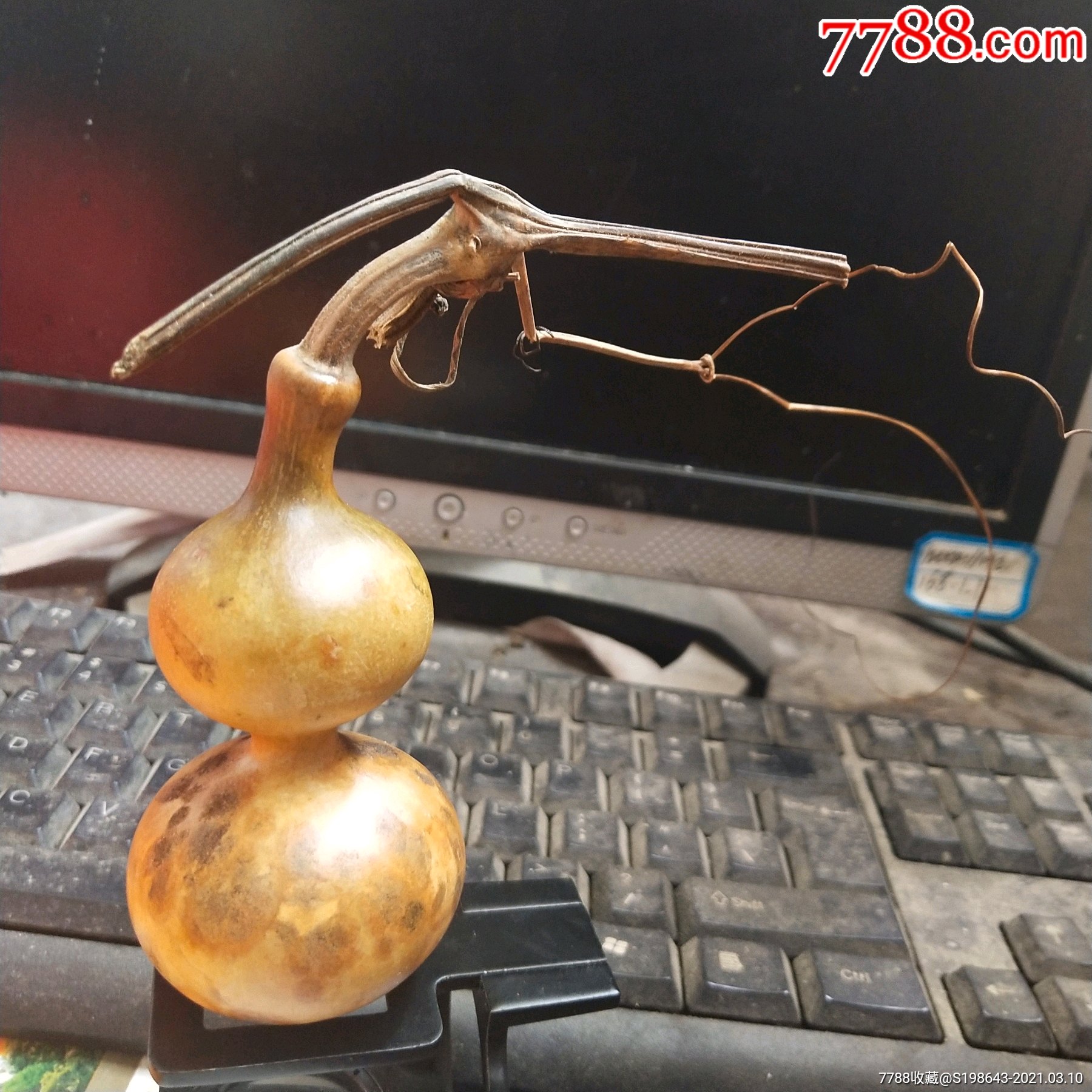 t410花皮葫芦精品一个