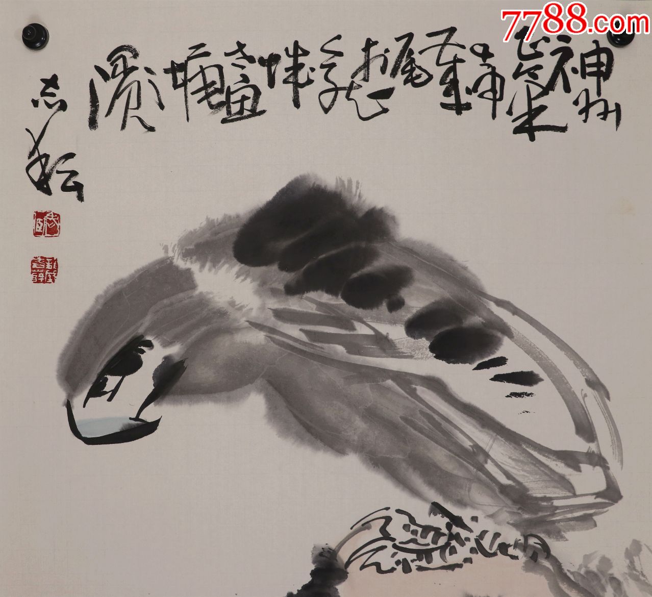 薛志耘,安徽萧县人,师从郑正,萧龙士,李苦禅,许麟庐先生,松鹰图