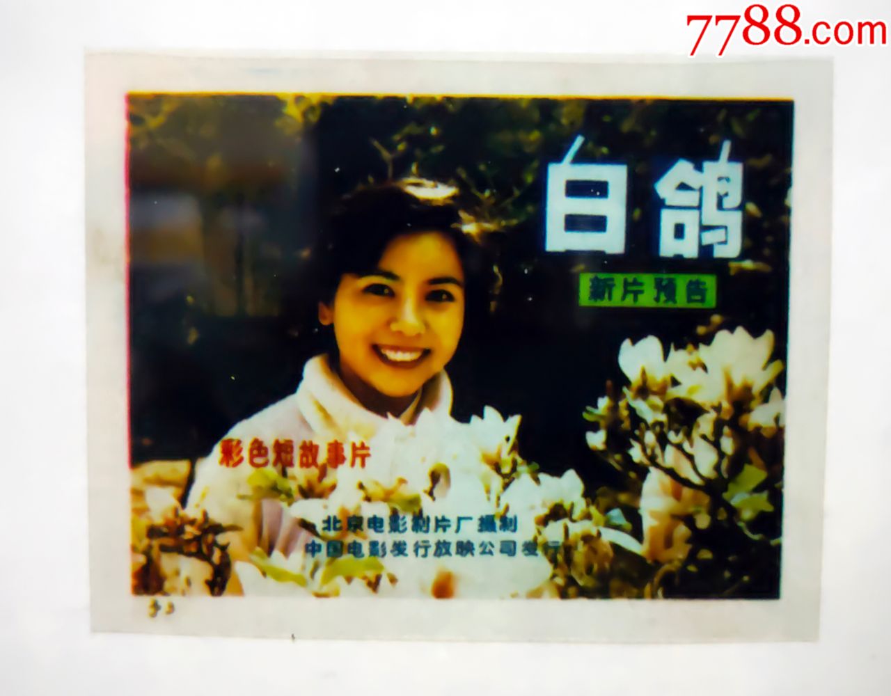八十年代彩色电影宣传新片预告《白鸽》幻灯片