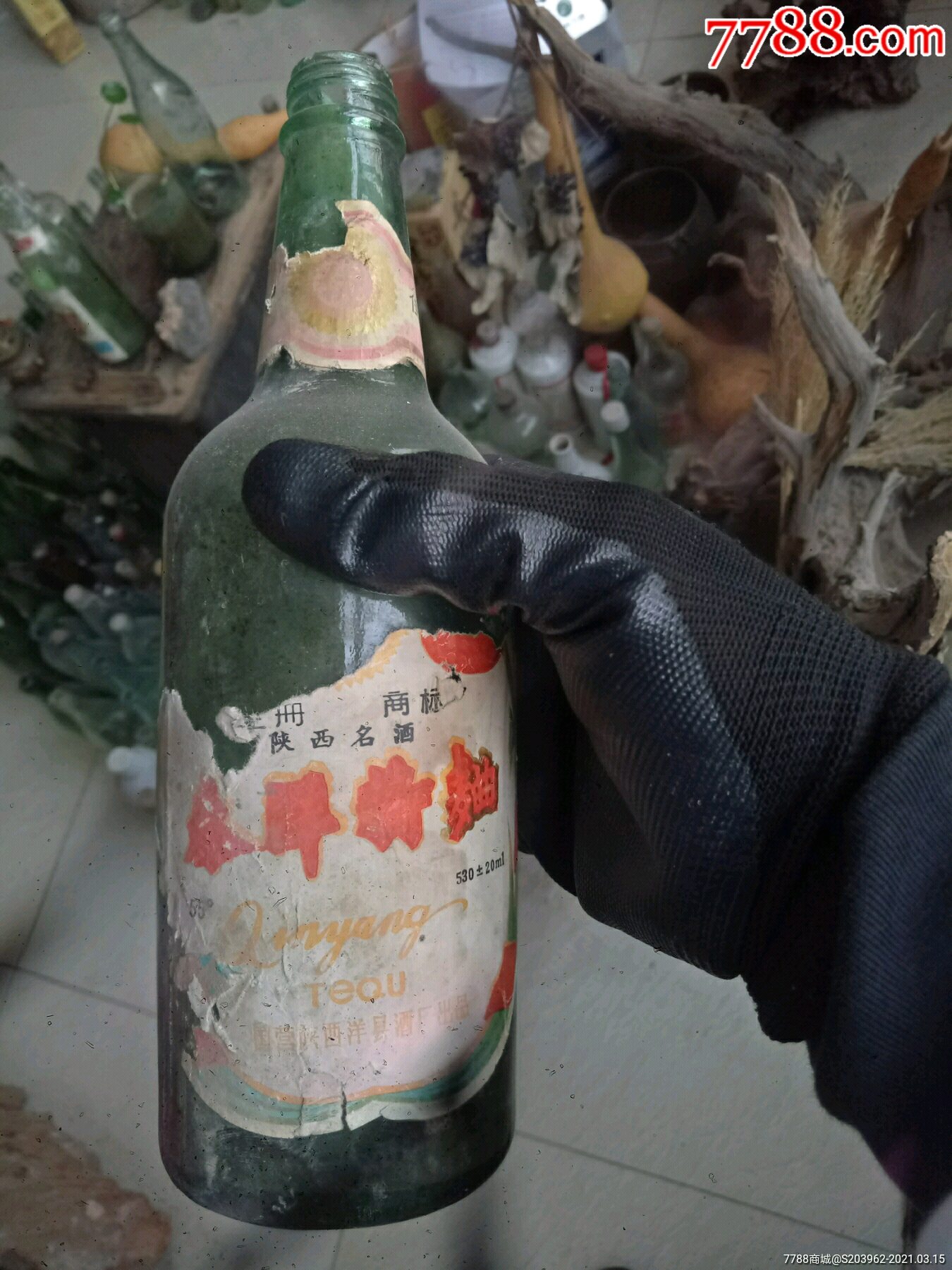 秦洋特曲55度老酒瓶