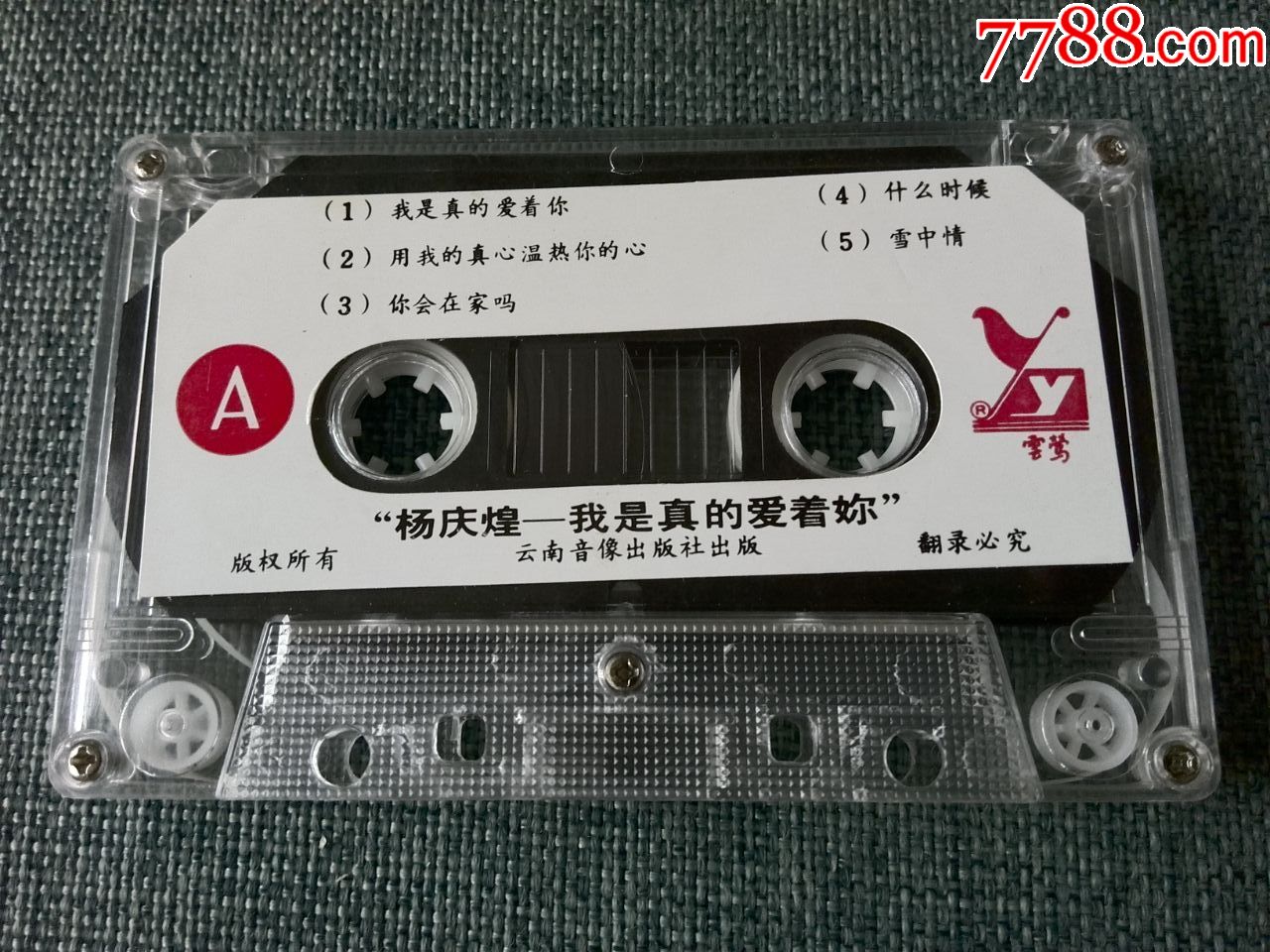 杨庆煌专辑我是真的爱着你云南音像出版社云莺370