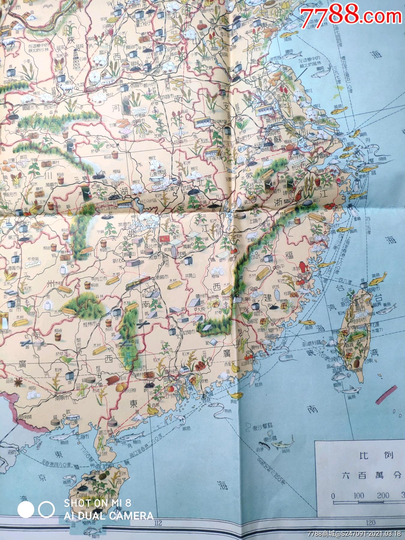 1954年新中国经济建设及物产象形挂图,尺寸104*76