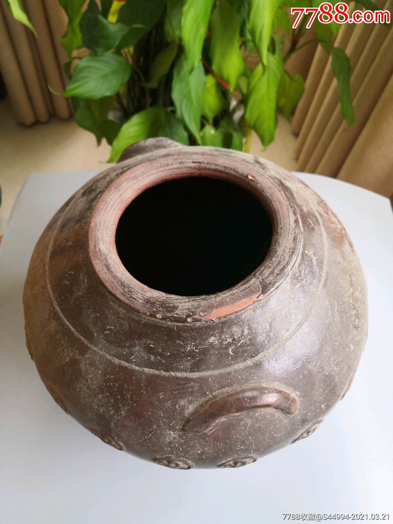 双耳满工梅花灰陶老坛子壹个