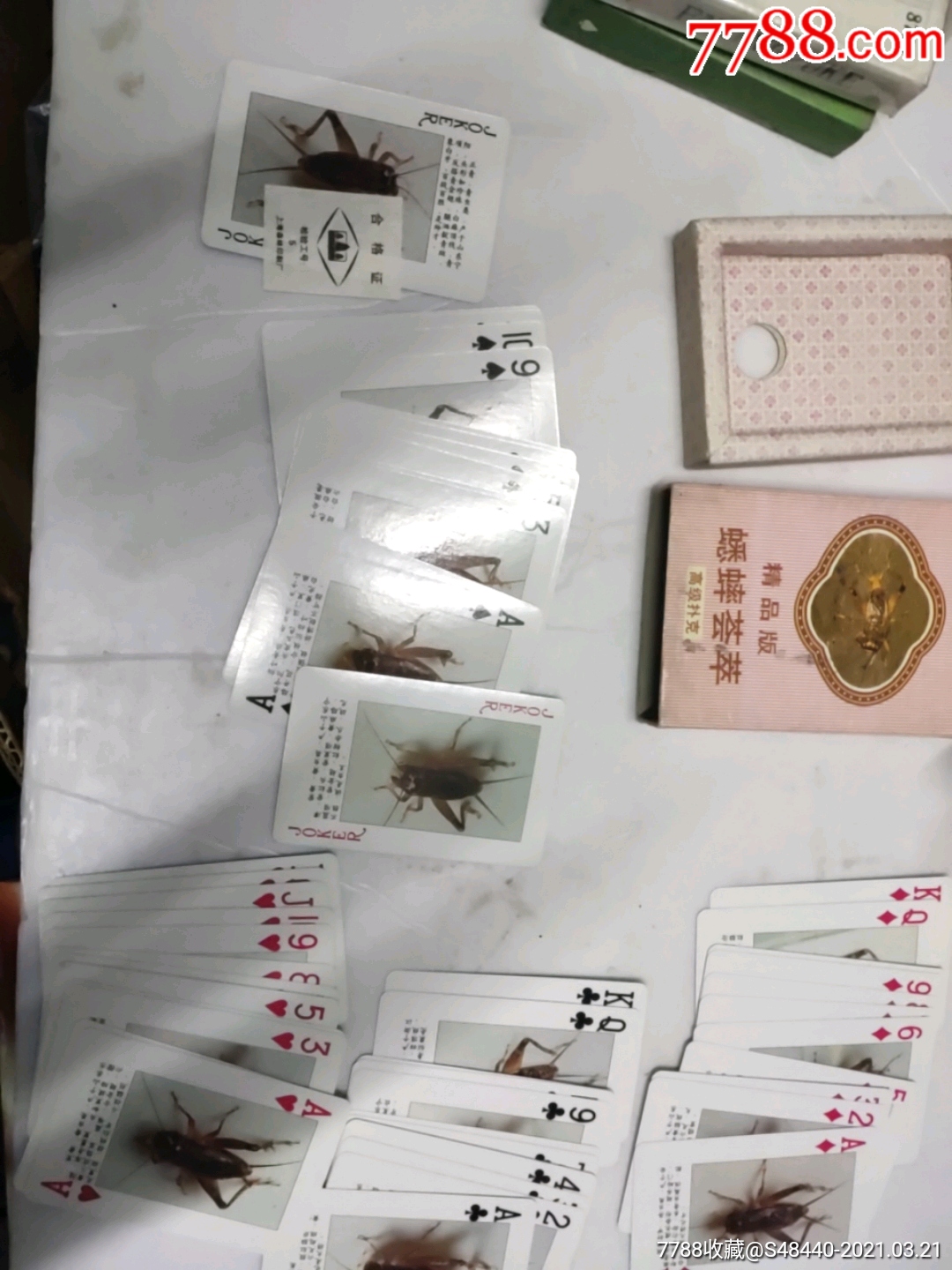 蟋蟀荟萃