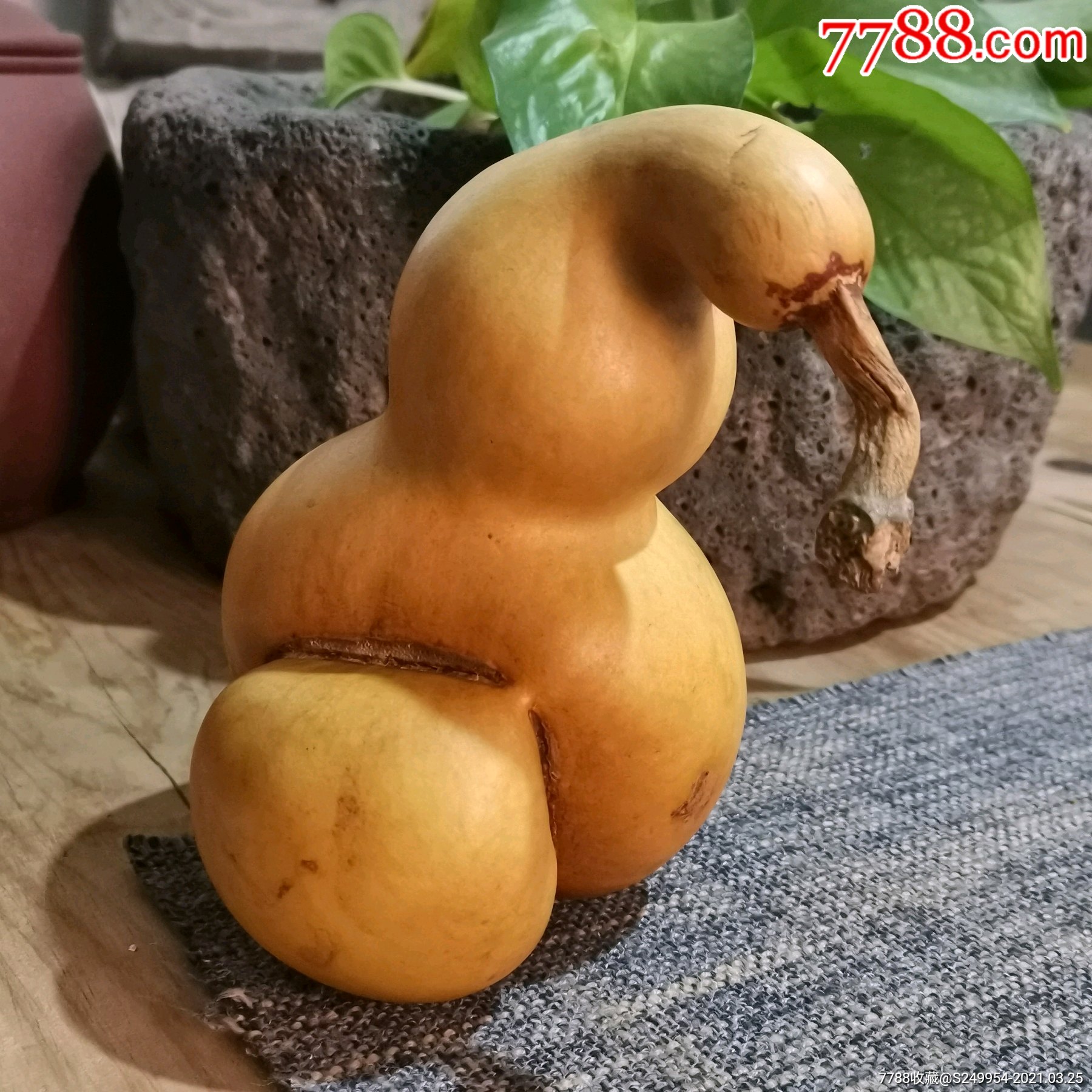福禄寿自然异形本地葫芦