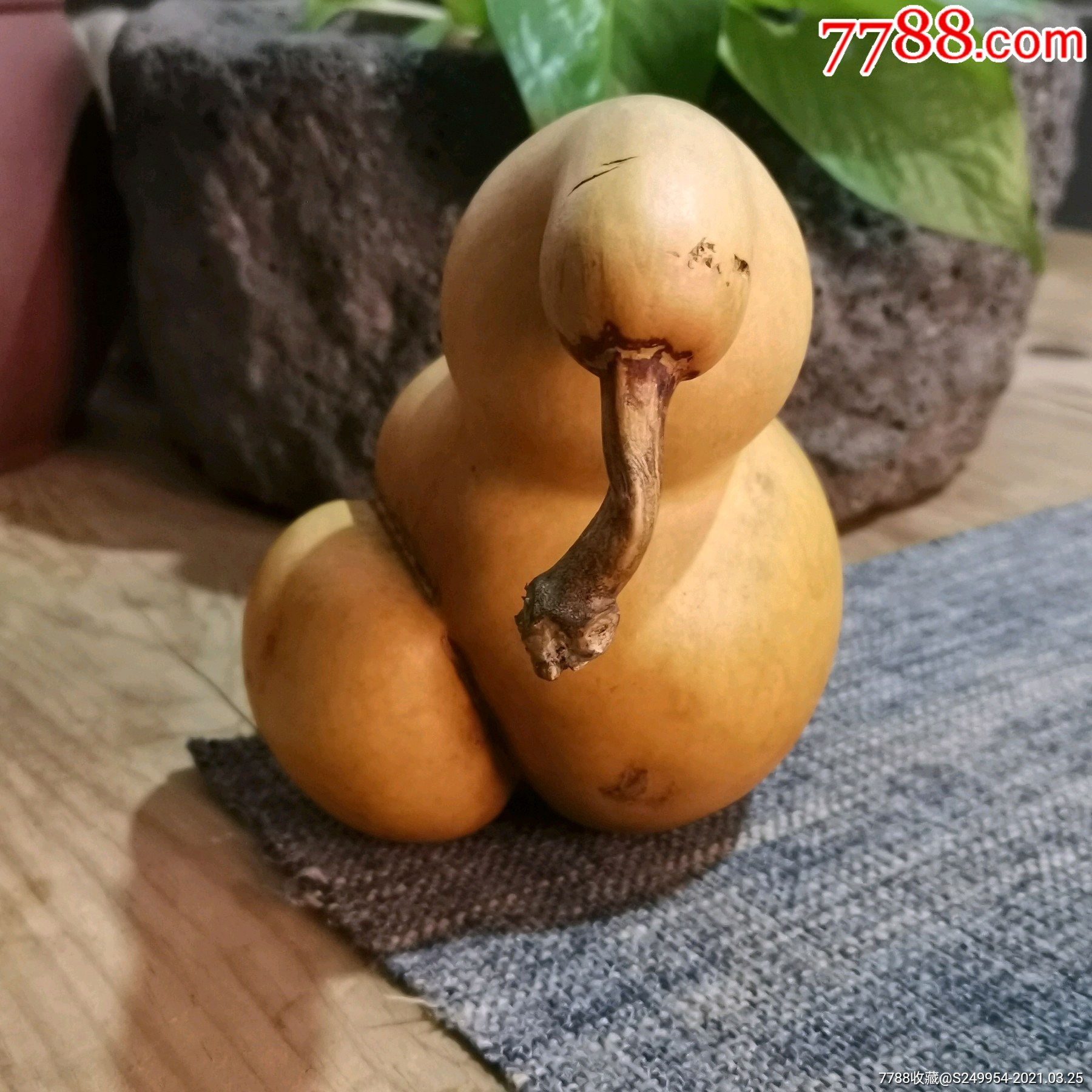 "福禄寿"自然异形本地葫芦