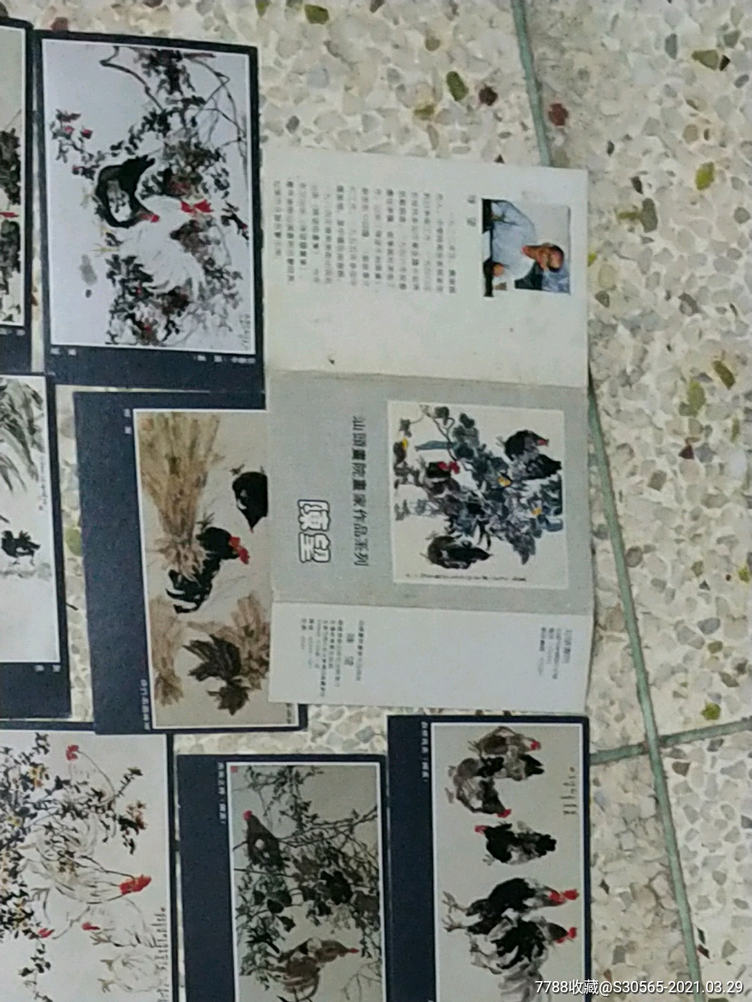 陈望--汕头画院画家作品系列(明信片10张)