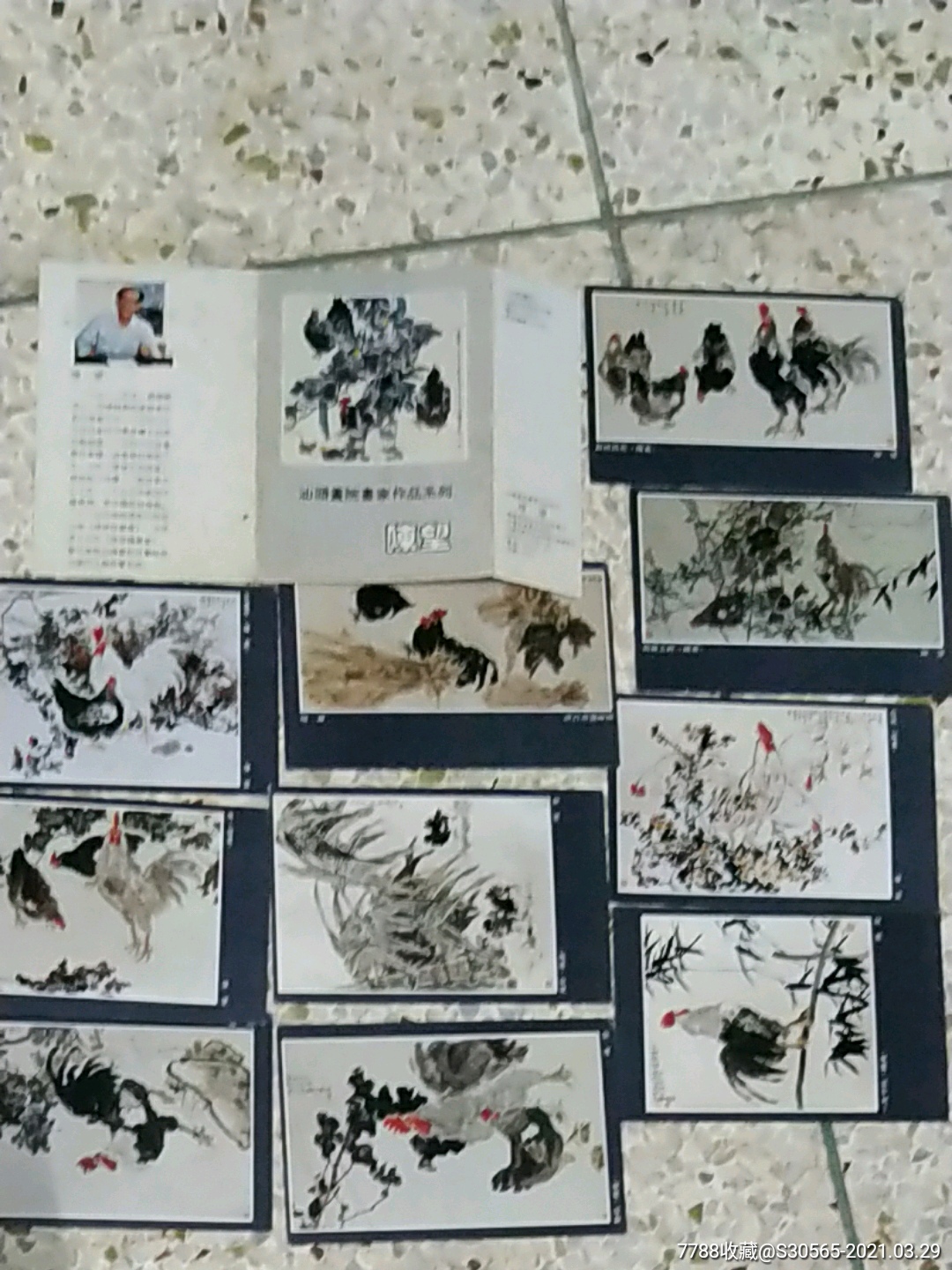 陈望--汕头画院画家作品系列(明信片10张)