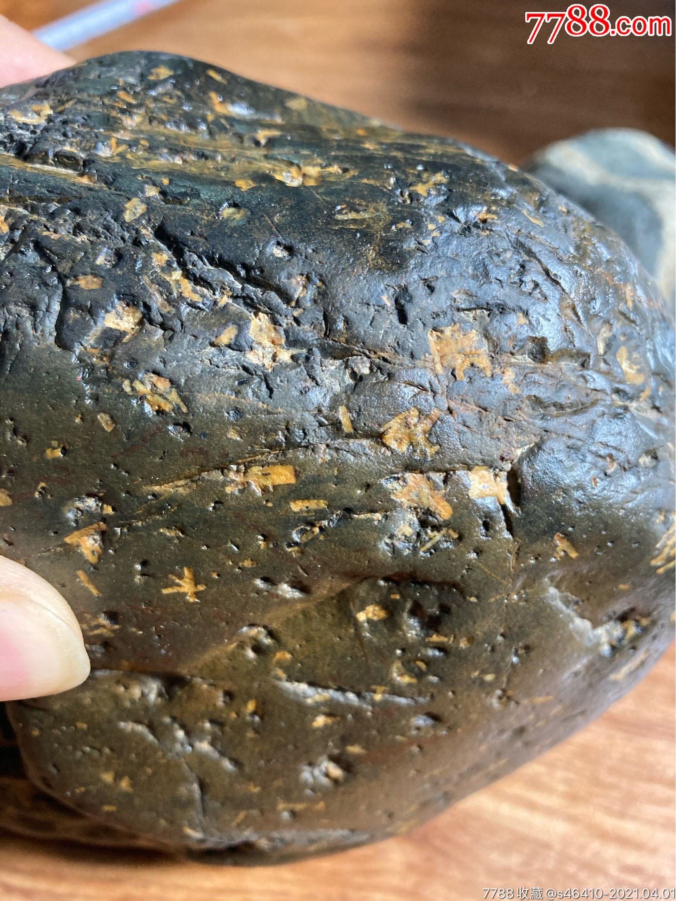 人闲桂花落海藻化石