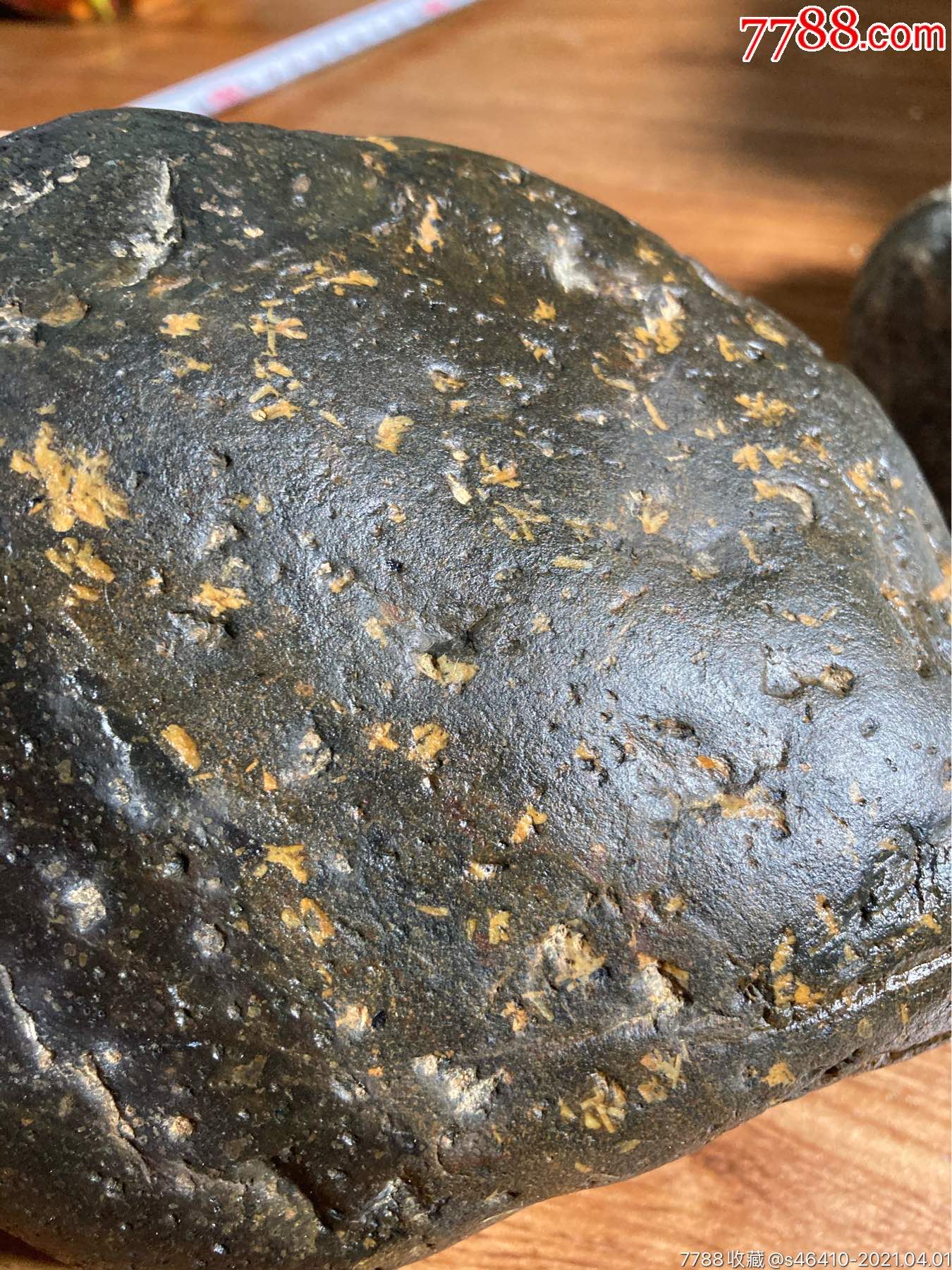 人闲桂花落海藻化石