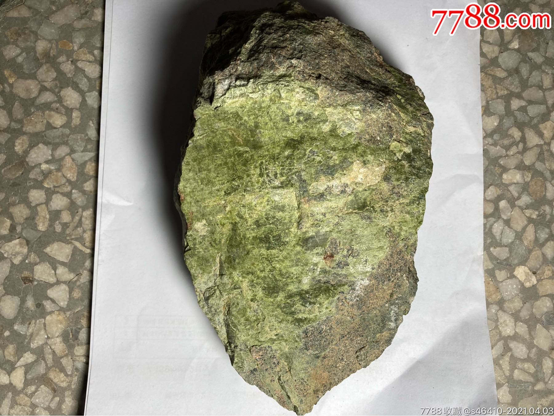 大叶绿色海藻化石_价格1元【金叶钱币】_第1张
