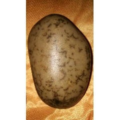 黄河硒玉原石一块(au26015298)_7788人民币收藏