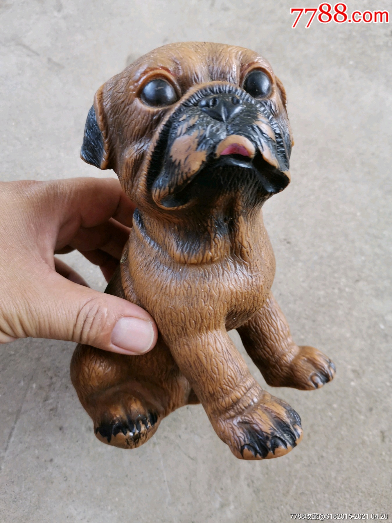 沙皮狗