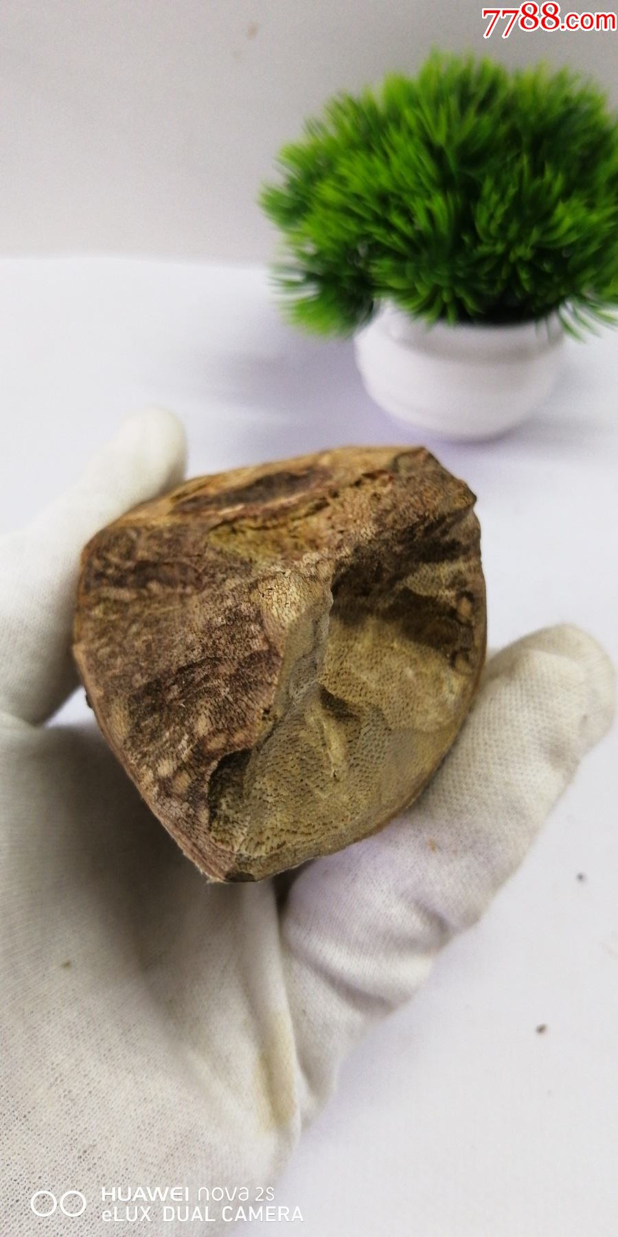 8033天然随形虫漏沉香摆件香薰香料泡水泡茶泡酒暖胃文玩收藏