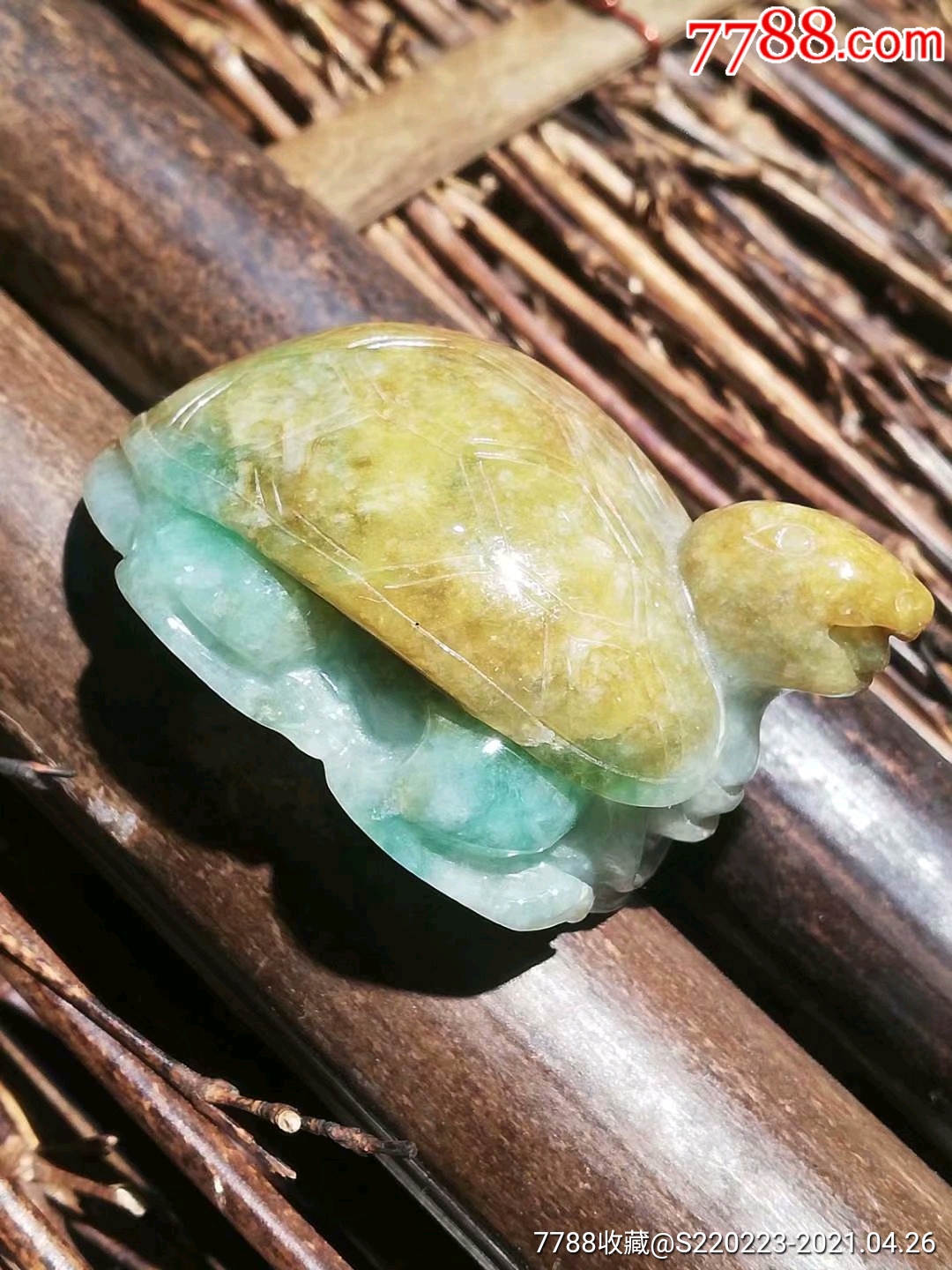 翡翠黄加绿乌龟