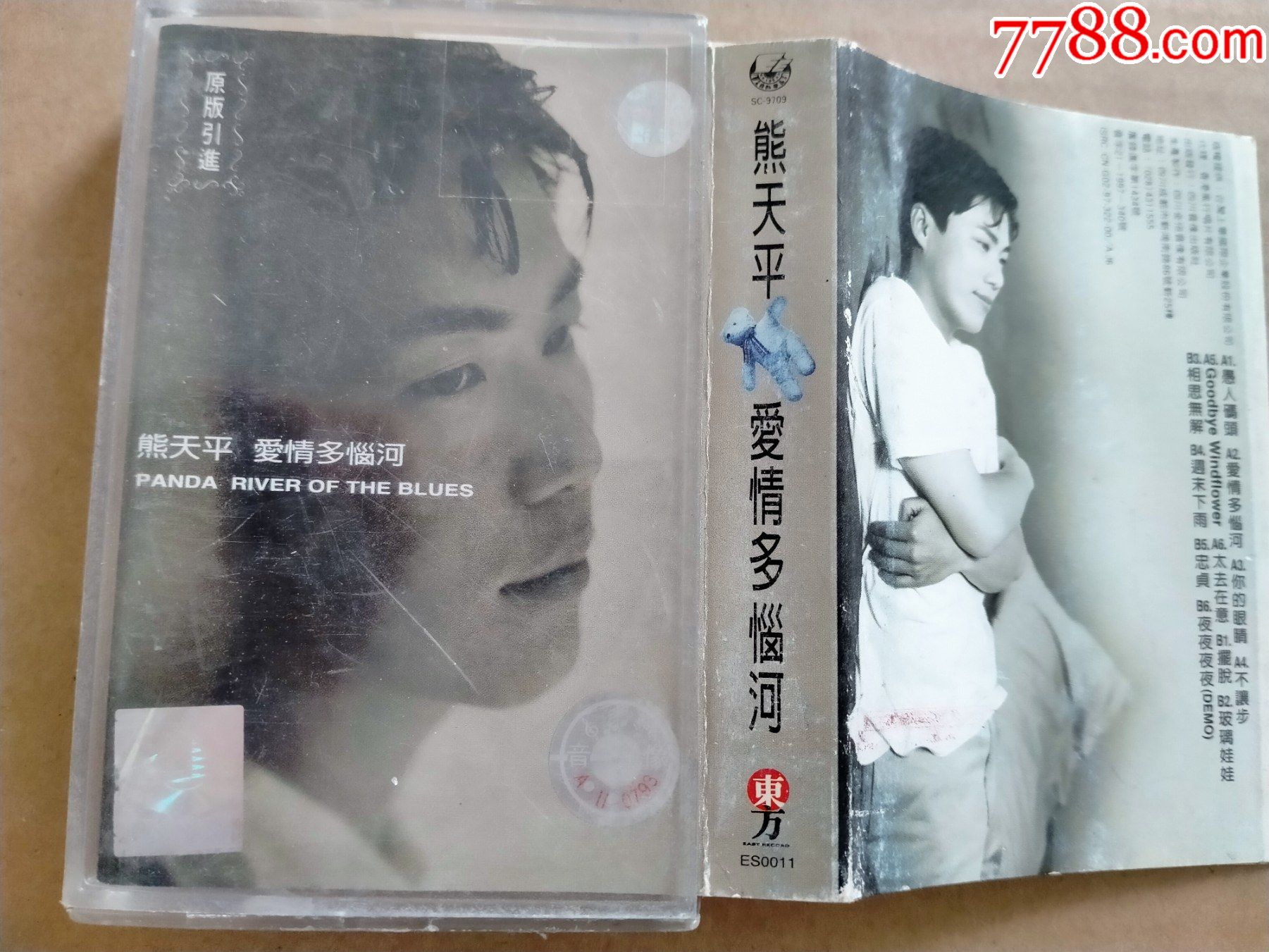 熊天平爱情多瑙河