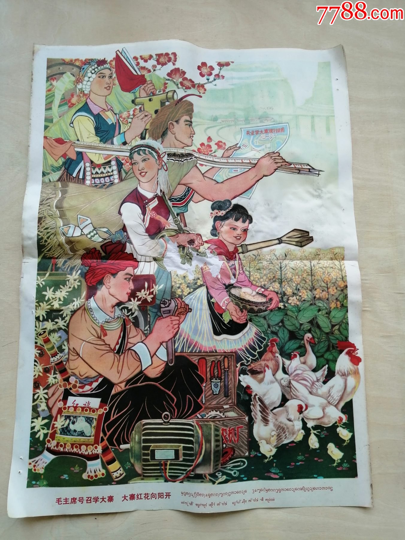 云南少数民族绘画稿宣传画