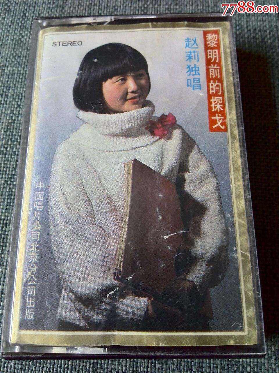 中国80年代女歌手图片