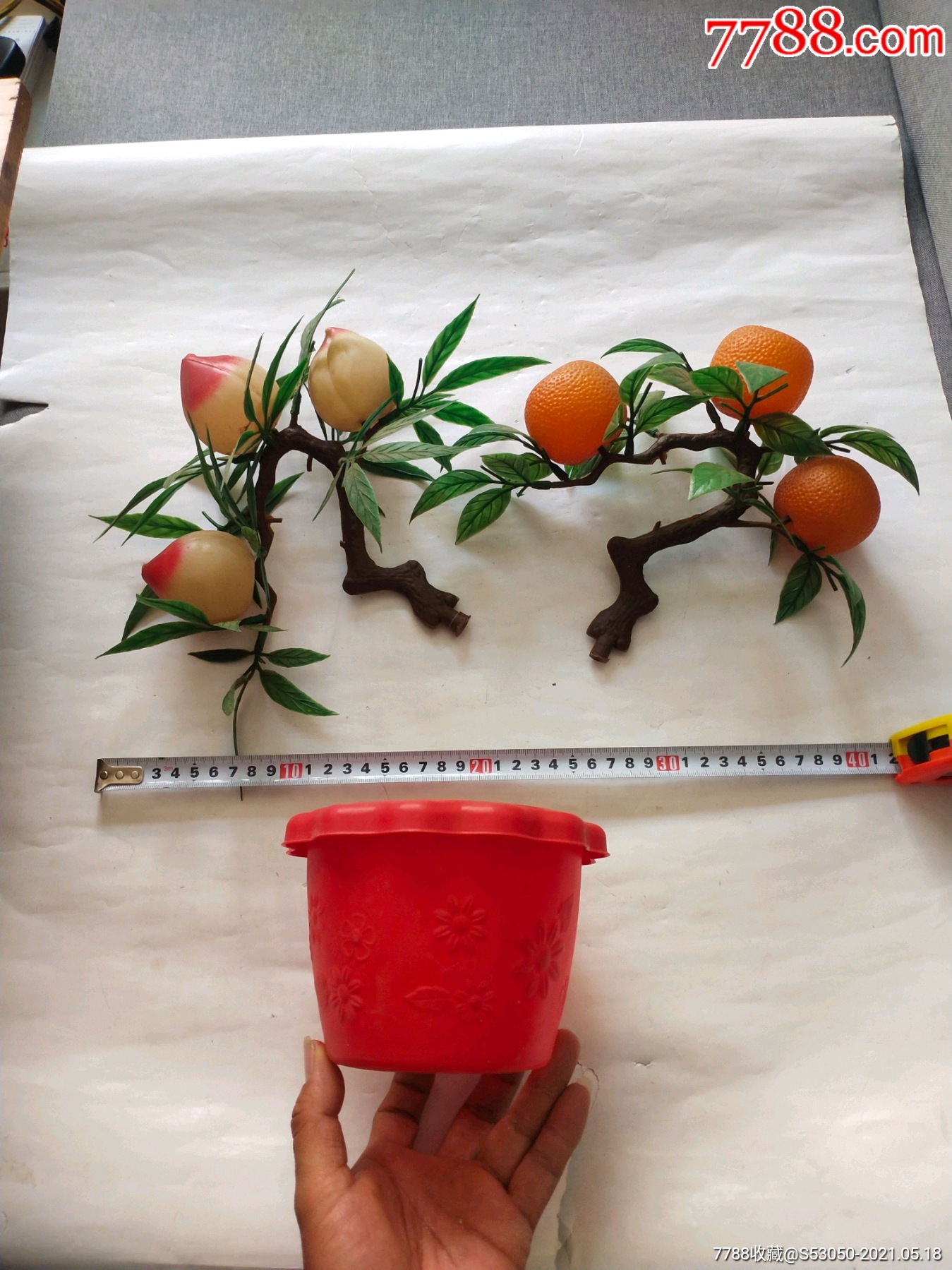 摘橘子去喽 - 多彩的一天 - 杭州市德胜幼儿园