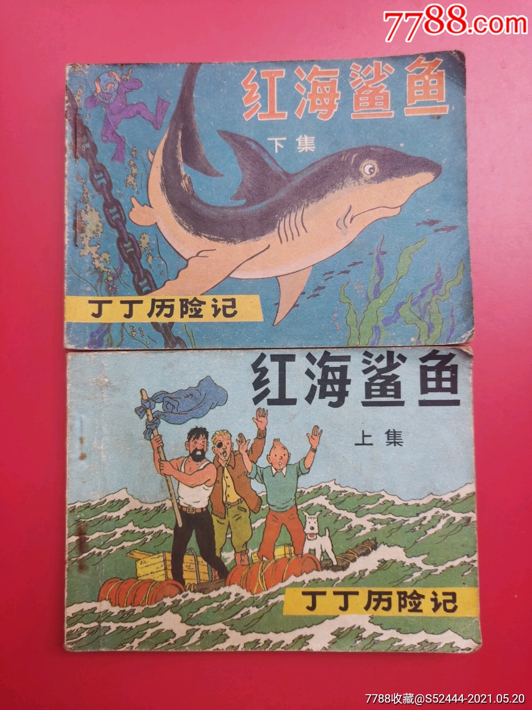 红海鲨鱼丁丁历险记上下