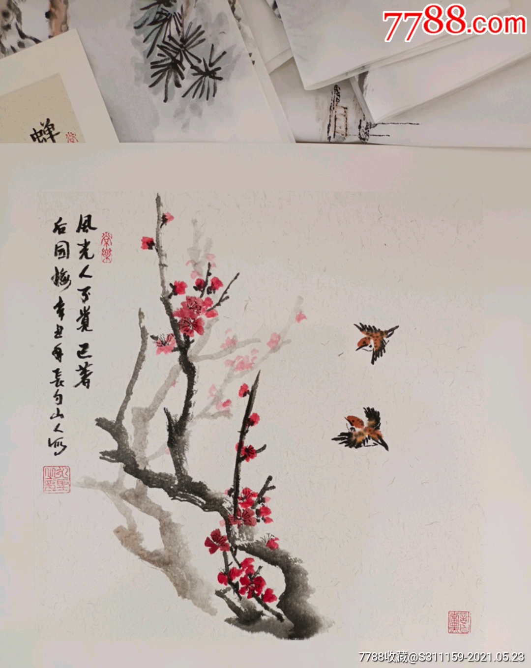 梅花小鸟