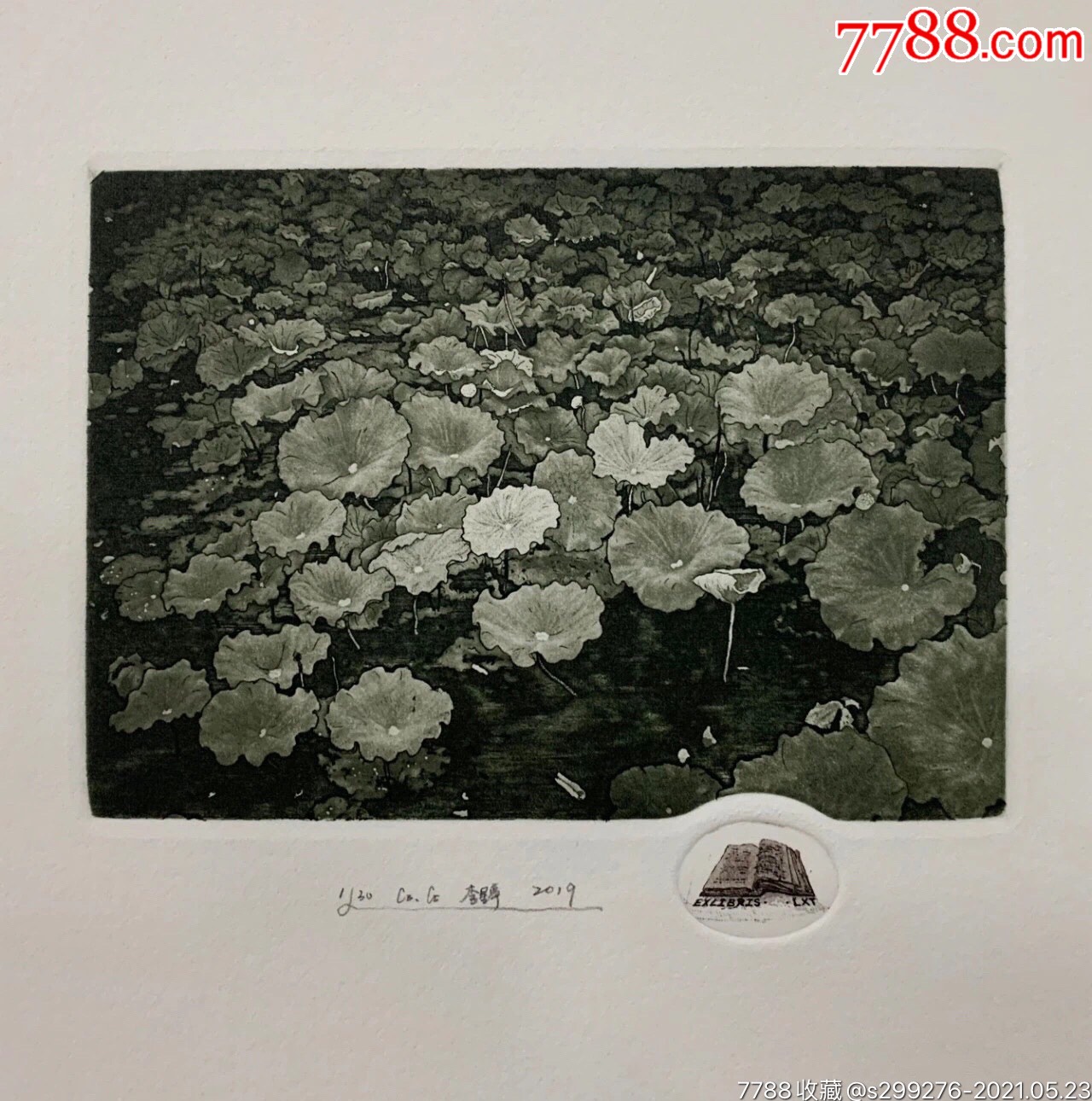 雕刻版铜版版画印样《荷花》