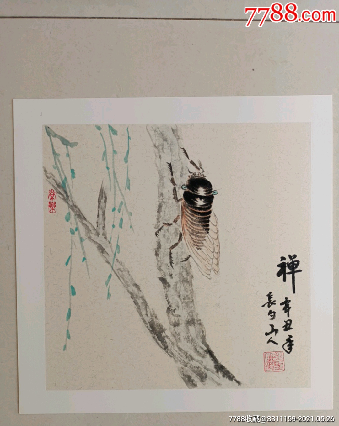 蝉(38x38)cm,_花鸟国画原作_作品欣赏_收藏价值_7788字画网